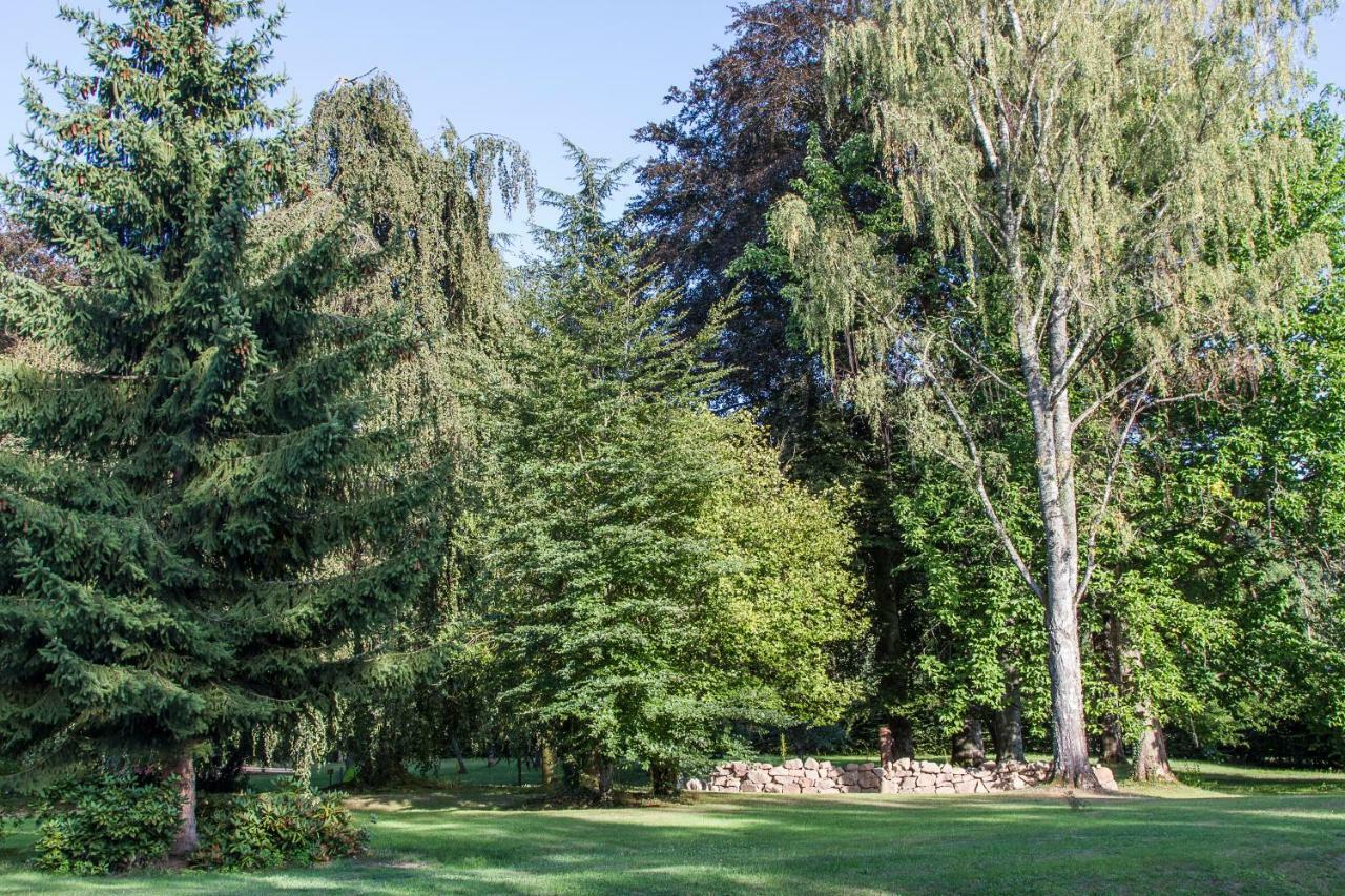 Chambres D'Hotes Domaine Des Iris Anould Exterior foto